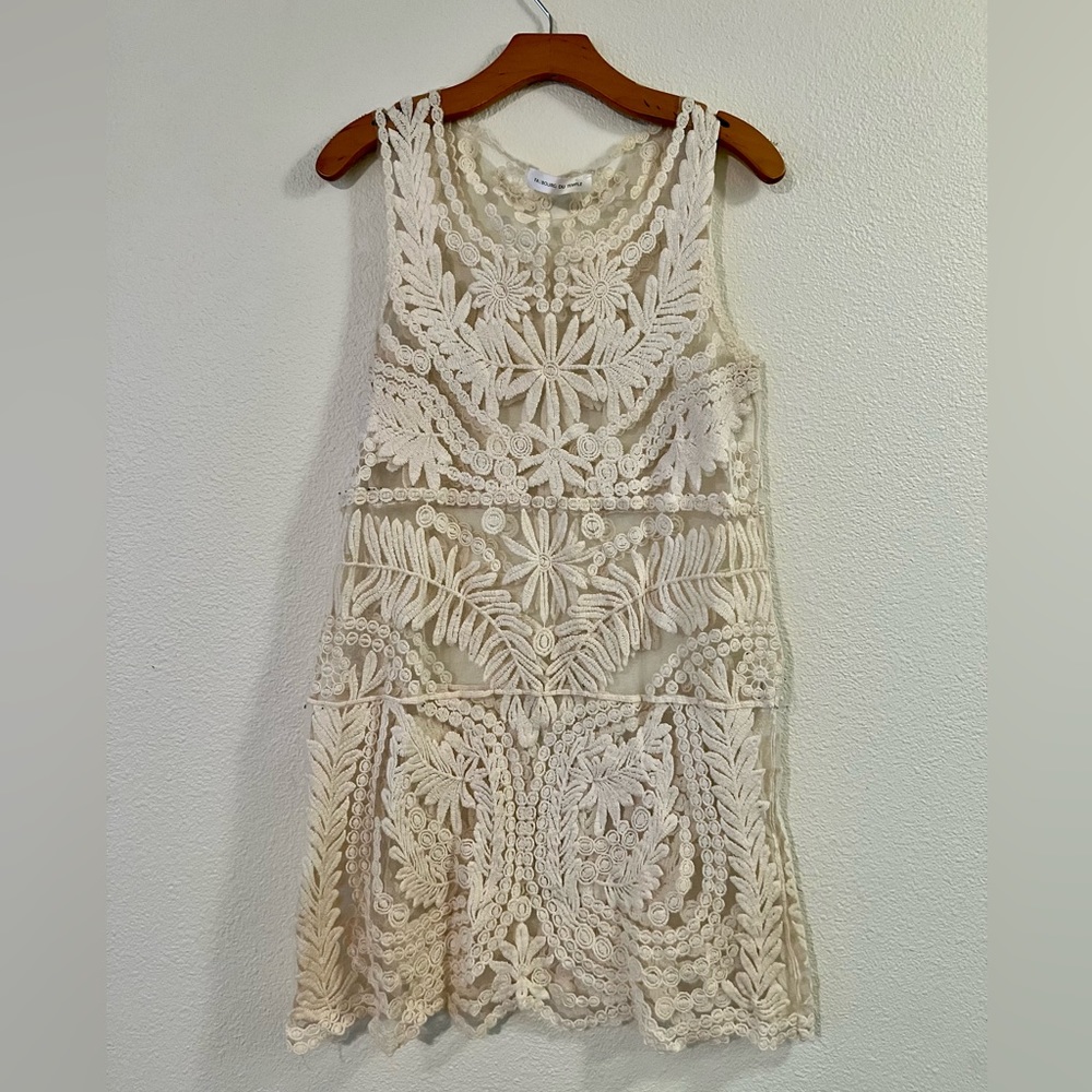 Sheer Embroidered Mini Dress